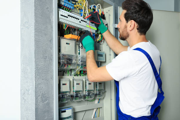 Best Electrician Near Me  in Fremont, MI