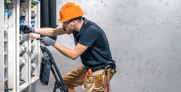 Best Electric Panel Repair  in Fremont, MI