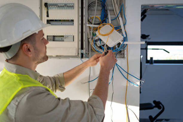Best Electrician for Home Renovation  in Fremont, MI